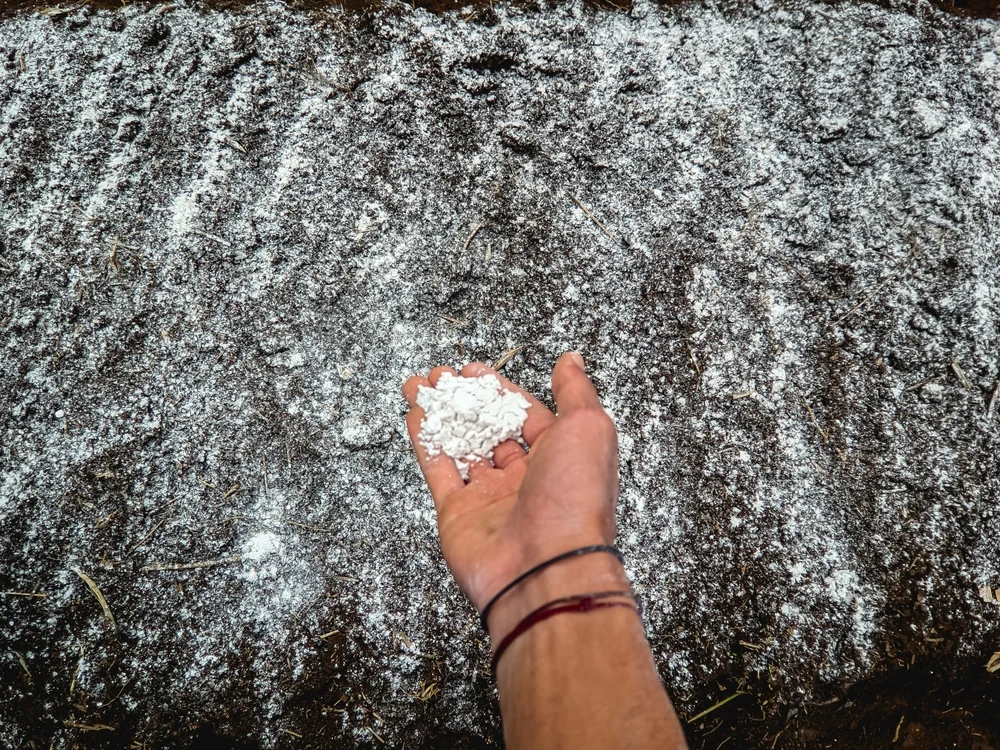 mana care tine var dolomitic deasupra solului