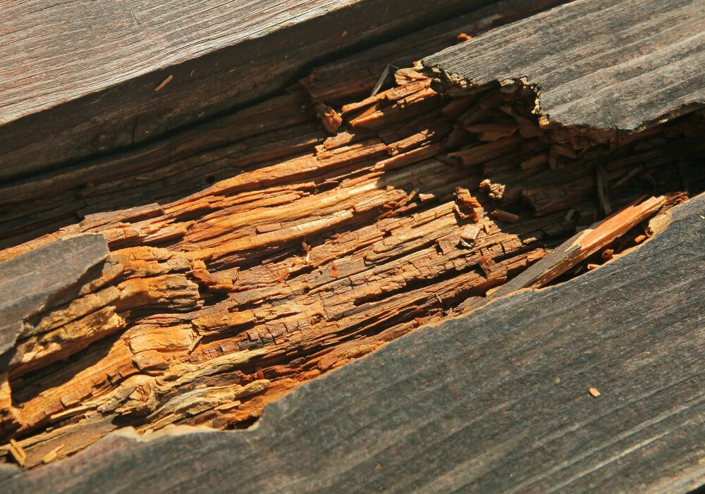 lemn degradat