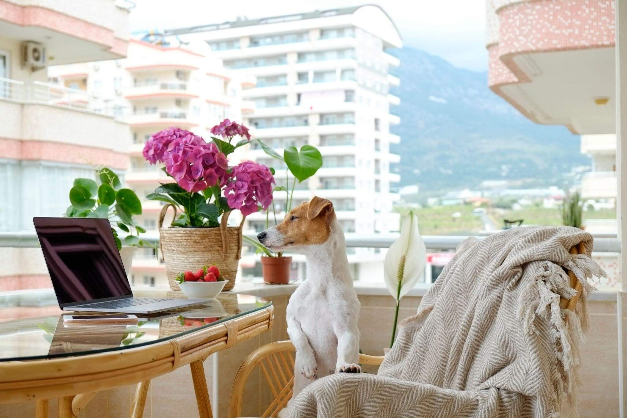 amenajare birou in balcon luminos si practic