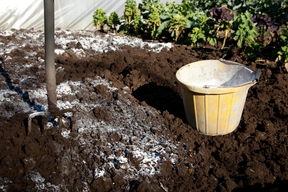 suprafata de gradina sapata, cu var imprastiat pe sol si unelte pentru lucrari de intretinere