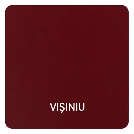 Vopsea alchidica/email Protecta 3 in 1, visiniu, interior/exterior, 0,5 L Vopsea alchidica/email Protecta 3 in 1, visiniu, interior/exterior, 0,5 L