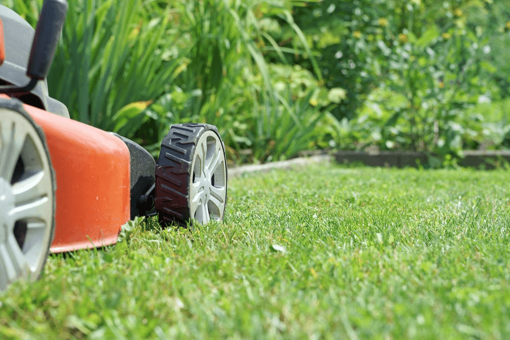 trimmer gazon iarba in gradina